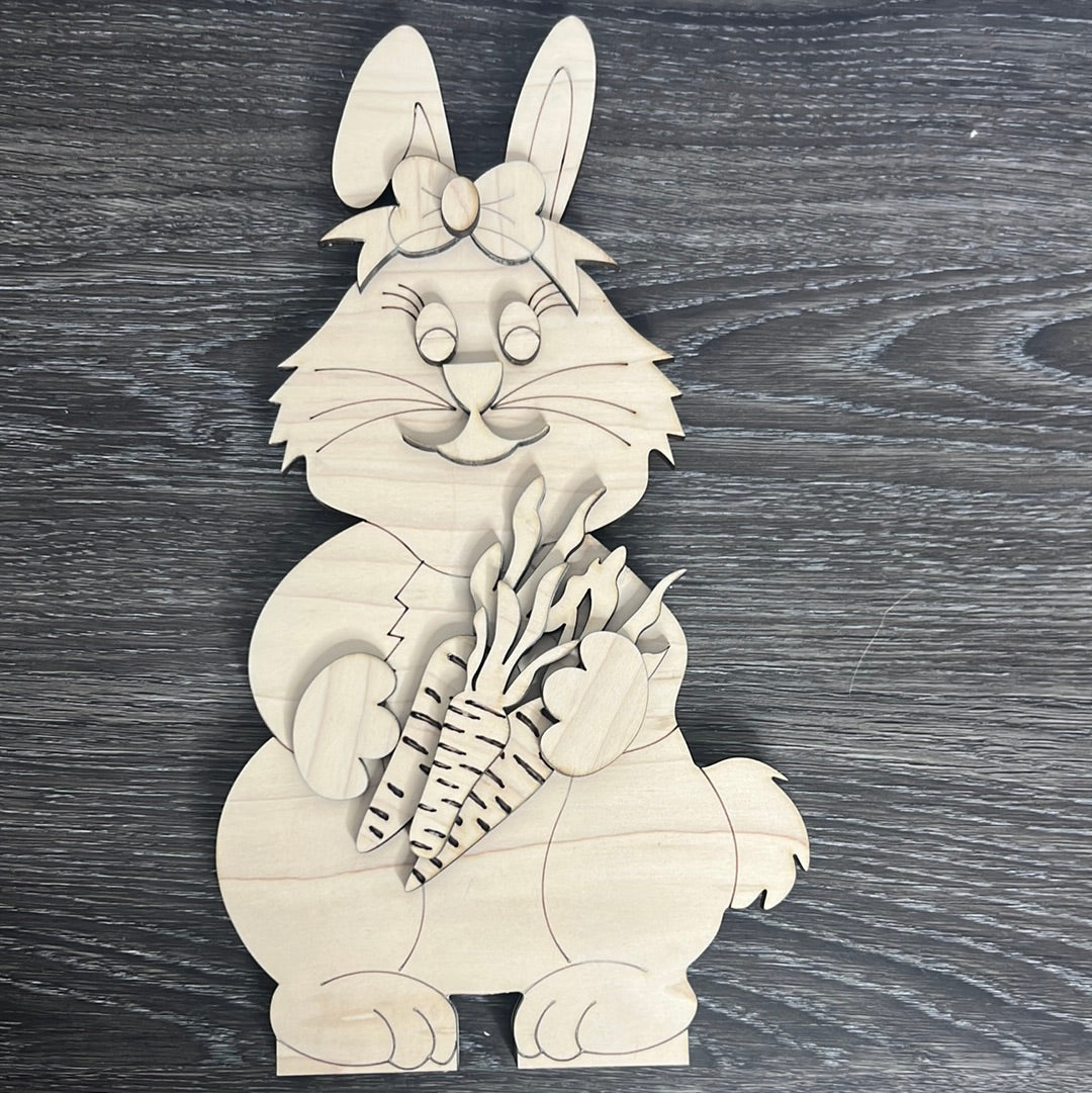 Bunny & Carrots